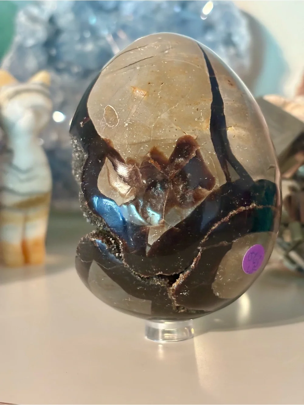 N/A striking polished